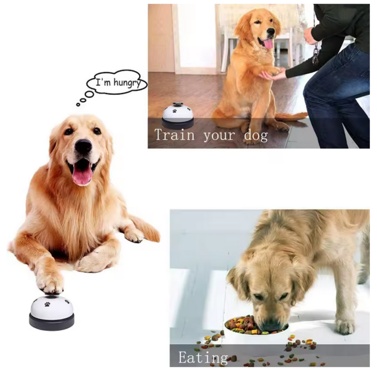 Paw Print Pet Training Bell