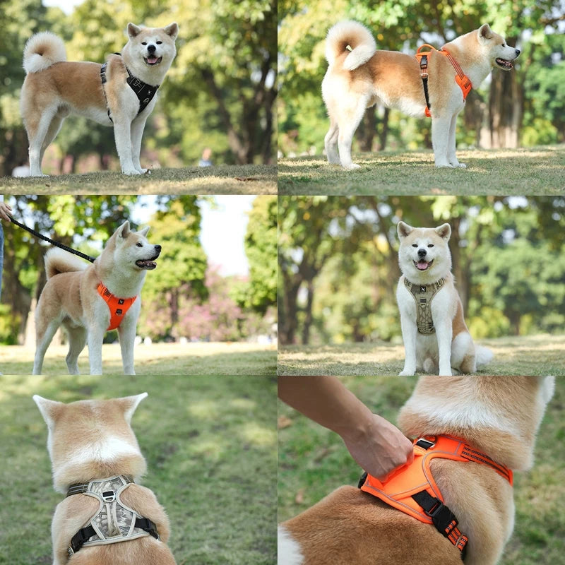 Durable Waterproof Pet Harness with Vertical Handle